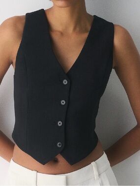 Aritzia Babaton Pacino vest